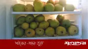 ফ্রিজে পাকা আম সংরক্ষণের সঠিক উপায় জেনে নিন