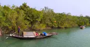 সুন্দরবনে তিন মাস প্রবেশ নিষিদ্ধ, বনজীবীদের সংকট