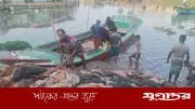 চট্টগ্রামে কুরবানির চামড়া বিপর্যয়: বিক্রি না হওয়ায় রাস্তায় ফেলে দিলেন ব্যবসায়ীরা