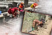 বাংলাদেশের নতুন শিক্ষানীতি ঘোষণা, পরিবর্তন আসছে পাঠ্যসূচিতে