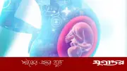 গর্ভপাতের পর সন্তান নেওয়ার সঠিক সময় ও করণীয়