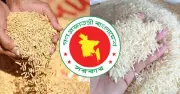 হাওর অঞ্চলে ধান-চাল সংগ্রহের সময়সীমা এগিয়ে এনেছে সরকার