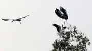 স্মৃতি ও বর্তমানের মেলবন্ধনে পুরান ঢাকার শাহী মসজিদ