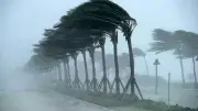 বাংলাদেশের ভিডিও: নতুন তথ্য উদঘাটন, দেশবাসীকে চমকে দিচ্ছে
