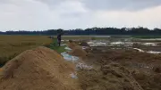 কিশোরগঞ্জে টানা বৃষ্টিতে হাওরের ধান নষ্ট, কৃষকদের বিপাকে পড়েছেন