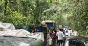 ঝড়ে লাউয়াছড়ায় গাছ পড়ে পাঁচ ঘণ্টা যানবাহন চলাচল বন্ধ, দুর্ভোগে যাত্রীরা