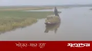 হাকালুকি হাওরে বোরো ধান নিয়ে দুর্বিপাক, কৃষকদের হাহাকার