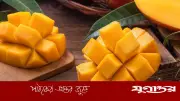 আম খেলে কি সত্যিই শরীরের তাপমাত্রা বেড়ে যায়? জানুন সঠিক তথ্য