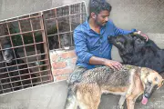 বাংলাদেশের নতুন শিক্ষানীতি অনুমোদন, পরিবর্তন আসছে পাঠ্যসূচিতে