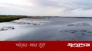 ছয় বিঘা জমির ধান তলিয়ে যেতে দেখে কৃষকের মৃত্যু