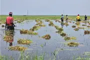 কৃষকের দুর্দশা: বিদ্যুৎহীন গ্রাম, ফসলের দামে বজ্রাঘাত