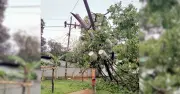 মিরসরাইয়ে কালবৈশাখীর তাণ্ডবে বিদ্যুৎ সংকট, ৫০০ গ্রাহক অন্ধকারে