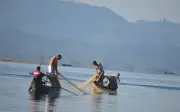 কাপ্তাই হ্রদে বড় মাছের অভাব, ছোট মাছের আধিক্য