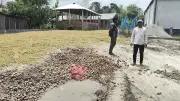 গঙ্গাচড়ায় পোকার আক্রমণে নষ্ট হচ্ছে আলু, কৃষকেরা ফেলে দিচ্ছেন রাস্তায়