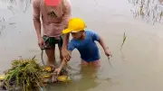 প্রথম আলোর ভিডিও প্রতিবেদন: বাংলাদেশের বিশেষ ঘটনা