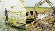 টানা বৃষ্টি ও উজানের ঢলে চলনবিলে কৃষকের শঙ্কা