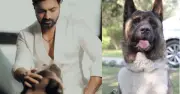 প্রিয় পোষা কুকুর লাকিকে হারিয়ে শোকে দেব