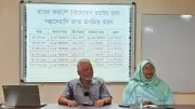 হাওরে স্বল্পমেয়াদি বোরো ধান চাষে সফলতা, কমছে বন্যার ঝুঁকি