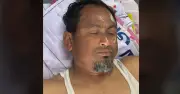 মৌমাছির কামড়ে জামায়াতের তিন নেতাকর্মী আহত