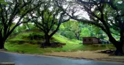 সিআরবি বাঁচানোর দাবি: প্রকৃতির বিনিময়ে উন্নয়ন নয়
