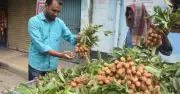 রাজশাহীতে অপরিপক্ব লিচুর চড়া দাম, স্বাদহীন ফলেই দাম ৩০০-৪০০ টাকা