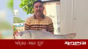 সাড়ে ২১ কেজি পদ্মার কাতল, দাম ৪৩ হাজার টাকা