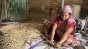 কচুরিপানা দিয়ে তৈরি পণ্য রপ্তানি হচ্ছে ৮২ দেশে