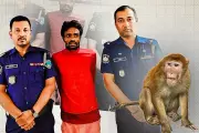 প্রথম আলোতে বাংলাদেশের ভিডিও: নতুন দিগন্ত