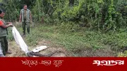 লোহাগাড়ায় ১৪ ফুট অজগর উদ্ধার, চুনতী অভয়ারণ্যে অবমুক্ত