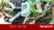 লালমনিরহাটে ভারতীয় ড্রোন বিধ্বস্ত, উদ্ধার করল বিজিবি