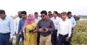 হাওরাঞ্চলে ক্ষতিগ্রস্ত কৃষকদের জন্য তিন মাসের বিশেষ সহায়তা কর্মসূচি