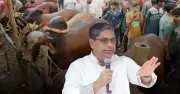 কোরবানির হাটে চাঁদাবাজি বন্ধে কঠোর ব্যবস্থা: প্রতিমন্ত্রী