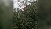 বাংলাদেশের নতুন শিক্ষানীতি ঘোষণা