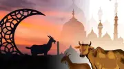 ঈদুল আজহা কবে? ম্যারাডোনার মৃত্যু নিয়ে মেয়ের মন্তব্য, স্বর্ণের দামে বড় লাফ