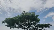 ছবিতে বাংলাদেশ: বর্ষা, প্রকৃতি ও জীবনের গল্প