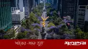 মহাকাশ থেকেও দেখা যাচ্ছে মেক্সিকো সিটির ভয়াবহ ধস