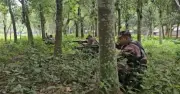 ভারত থেকে অনুপ্রবেশ ঠেকাতে যশোর সীমান্তে বিজিবির নিরাপত্তা জোরদার