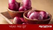 লাল পেঁয়াজের উপকারিতা ও সতর্কতা: জানুন বিস্তারিত