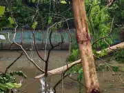 জয়পুরহাটে কালবৈশাখীর তাণ্ডবে বিদ্যুৎ বিপর্যয়, ৭৫ গ্রাম অন্ধকারে