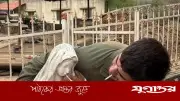 ইসরাইলি সেনার বিরুদ্ধে মেরির মূর্তি অবমাননার অভিযোগ