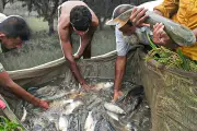 বাংলাদেশের নতুন অর্থনৈতিক অঞ্চল উদ্বোধন