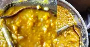 বিহারে মিড-ডে মিলে সাপের বাচ্চা, অসুস্থ শতাধিক শিক্ষার্থী