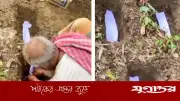 নড়াইলে সাত সন্তানের জন্ম, কাউকে বাঁচানো যায়নি