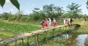 বাঁশের নড়বড়ে সাঁকোয় বিপাকে ১০ হাজার মানুষ, প্রতিশ্রুতি রক্ষা হয়নি