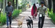 গুলশানে পোষা কুকুর নিয়ে পার্কে হাঁটার অনুমতি, নতুন অধ্যায় শুরু
