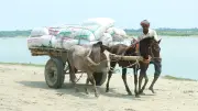 প্রকৃতির নানা রূপ: সিরাজগঞ্জ থেকে রাঙামাটি