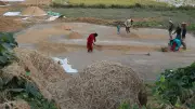 হাওরে ফসল তলিয়ে কৃষকের হাহাকার, নীরব লড়াই