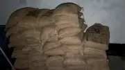 শরণখোলায় রাস্তা পাকা করার দাবিতে মানববন্ধন