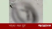 লক্ষ্মীপুরে বসতবাড়ির উঠানে মিলল বিশাল রাসেল ভাইপার
