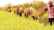 নতুন রূপে সাজছে সরিষাবাড়ী উপজেলা স্বাস্থ্য কমপ্লেক্স